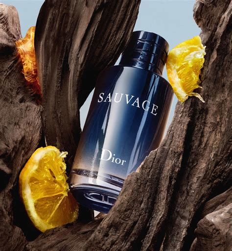 dior sayvage edt|dior sauvage edt fragrantica.